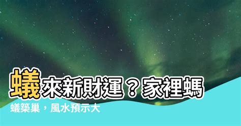 螞蟻穴風水|【蟻 風水】蟻來新財運？家裡螞蟻築巢，風水預示大。